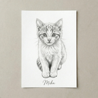 Personalisiertes Tierportrait - Zeichnung